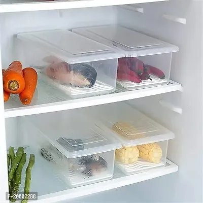 Plastic Fish Fridge Storage Container with Removable Drain Plate