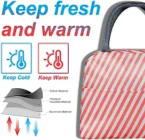House of Quirk Insulated Lunch Bags Small for Women Work Student Kids to School Thermal Cooler Tote Bag Picnic Organizer Storage Lunch Box Portable and Reusable (Pink Stripes)-thumb3