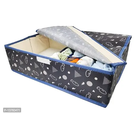 16+1 Compartment Cell Foldable Storage Box Organizer Closet Storage (44 x 28 x 12cm) Black Carrot