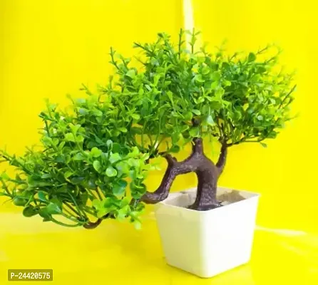 Classic Artificial Green Fenugreek Leaves Bonsai Tree With White Heavy Plastic Pot , Wild Plant, Perfect For Office Table Artificial Plant With Pot  (22 Cm, Green, Brown)