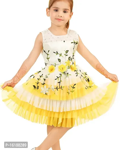 Latest Beautiful Net Embroidered Frocks for Girls