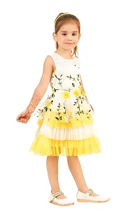 Latest Beautiful Net Embroidered Frocks for Girls-thumb2