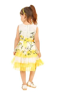 Latest Beautiful Net Embroidered Frocks for Girls-thumb3