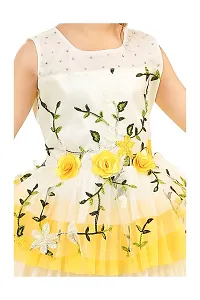 Latest Beautiful Net Embroidered Frocks for Girls-thumb1