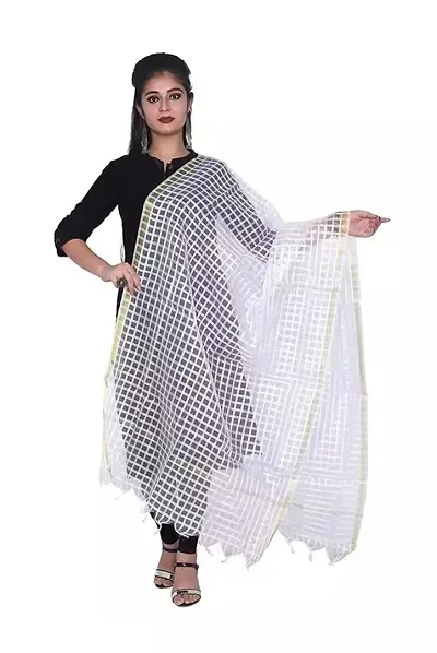 Elite Net Dupatta For Women