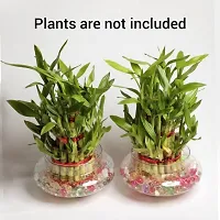 Virya H_homes Beautiful Clear Transparent Bubble Bowl,RoseBowl Glass Vase, Decorating, Home Decor for Artificial Flowers Candy Jar/Money Plant/Lucky Bamboo Plant Bowl (Without Flowers/Plants) Set of 2.-thumb4
