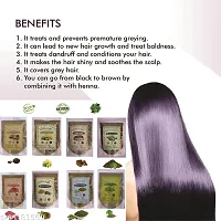 Keshvenna Naturals 100% Pure and Natural Hennas indigo, Amla Reetha Shikakai, Bhrinagraj ,Hibiscas and BrahmiPowder for Hair Care and Hair Growth, Hair Color and Natural hair Shampoo Combo Pack(50gm E-thumb1