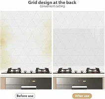 SUNBIRD Clear Glossy Self-Adhesive Film, Oil-Proof, Dust-Proof and Waterproof, for Crafts Kitchen Backsplash Protector Sticky Paper Kitchen Oil Proof Sticker, 60X200cm-thumb4