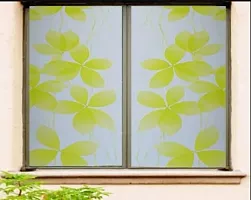 SUNBIRD Window Privacy Film, Decorative Stained Glass Window Film, Frosted Window Tinting Film for Home, House Door Glass (Green Leaf dot 43 X 121 CM)-thumb4