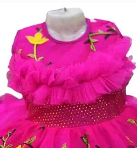 Elegant Pink Net Embroidered Dresses For Girls-thumb1