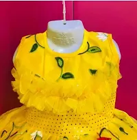 Elegant Yellow Net Embroidered Dresses For Girls-thumb1