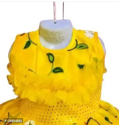 Elegant Yellow Net Embroidered Dresses For Girls-thumb2