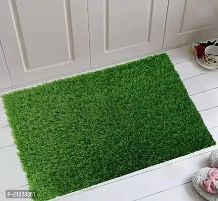 Designer Artificial GrassDoor Mat Pack of 1