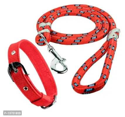 Salethief Dog collars belt harnesses  leashes 1 Inch Medium-thumb0