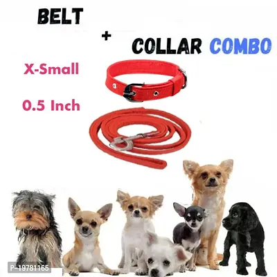 SheepDog Set of X- Small Dog Puppy Belt and Collar (Waterproof, Nylon)