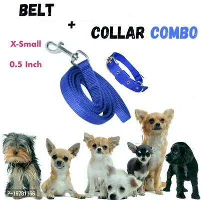 SheepDog Set of X- Small Dog Puppy Belt and Collar (Waterproof, Nylon)