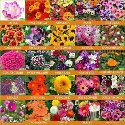 Vrisa Green 25 Varieties of Flower Seeds Combo Pack-thumb0