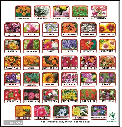 Vrisa Green 40 Varieties of Flower Seeds Combo Pack