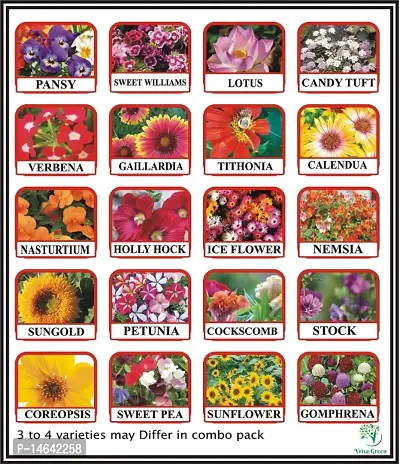Vrisa Green 20 Varieties of Flower Seeds Combo Pack