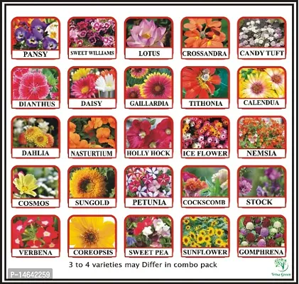 Vrisa Green 25 Varieties of Flower Seeds Combo Pack