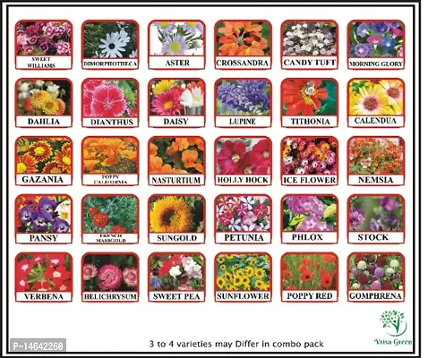 Vrisa Green 30 Varieties of Flower Seeds Combo Pack