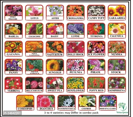 Vrisa Green 35 Varieties of Flower Seeds Combo Pack