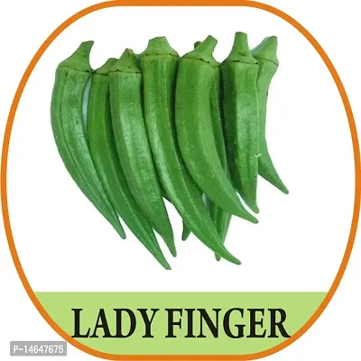 Vrisa Green Lady Finger Bhindi Vegetable Seeds 50 Per Pack-thumb0