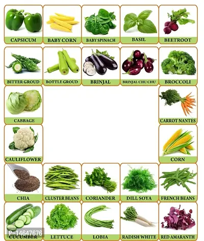 Vrisa Green 25 Variety of Vegetable Seeds Combo Kitchen Garden Pack