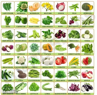 Vrisa Green 50 Variety of Vegetable Seeds Combo Kitchen Garden Pack