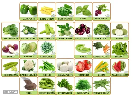 Vrisa Green 30 Variety of Vegetable Seeds Combo Kitchen Garden Pack