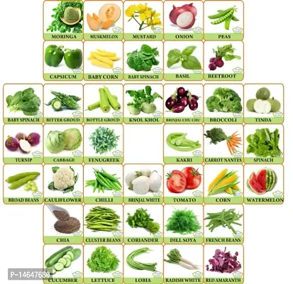 Vrisa Green 40 Variety of Vegetable Seeds Combo Kitchen Garden Pack