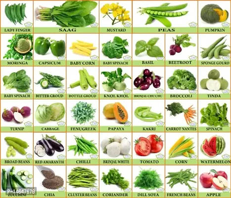 Vrisa Green 40 Variety of Vegetable Seeds Home Garden Combo