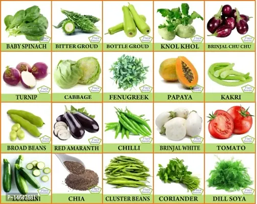 Vrisa Green 20 Variety of Vegetable Seeds Combo Kitchen Garden Pack