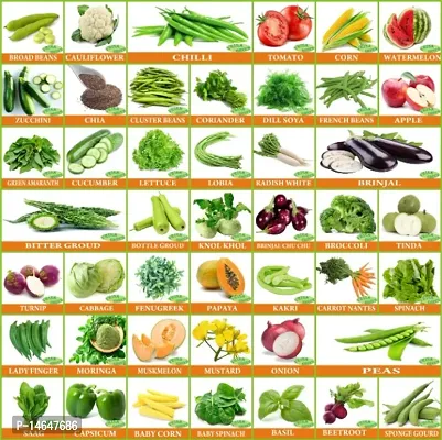 Vrisa Green 45 Variety of Vegetable Seeds Combo Kitchen Garden Pack-thumb0