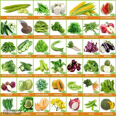 Vrisa Green 40 Variety of Vegetable Seeds Combo Kitchen Garden Pack