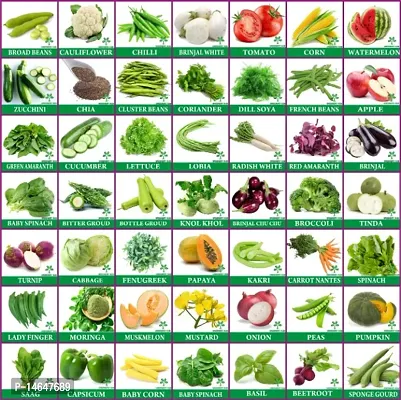 Vrisa Green 49 Variety of Vegetable Seeds Combo Kitchen Garden Pack-thumb0