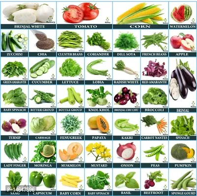 Vrisa Green 50 Variety of Vegetable Seeds Combo Pack