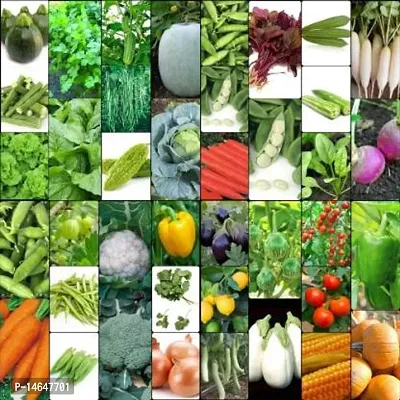 Vrisa Green 45 Variety of Vegetable Seeds Combo Kitchen Garden Pack