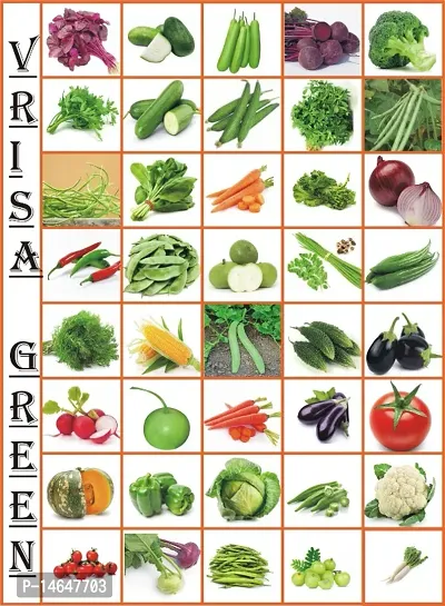 Vrisa Green 35 Variety of Vegetable Seeds Combo Kitchen Garden Pack