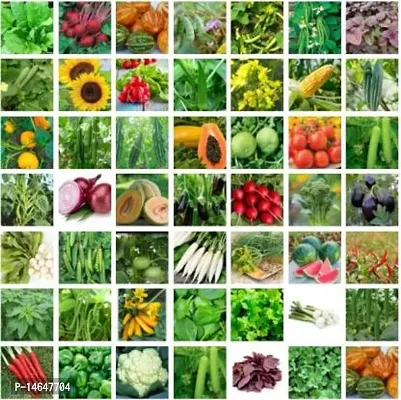 Vrisa Green 45 Variety of Vegetable Seeds Combo Kitchen Garden Pack