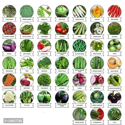 Vrisa Green 45 Variety Vegetable Seeds Combo Pack-thumb0