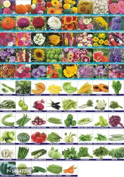Vrisa Green 85 Variety Vegetable and flower seeds combo pack Seed 4000 per packet