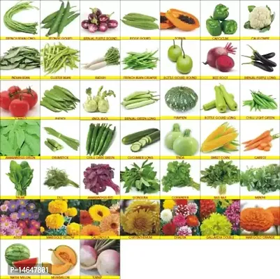 Vrisa Green 45 Variety of Vegetable and Flowers Mix Combo Pack
