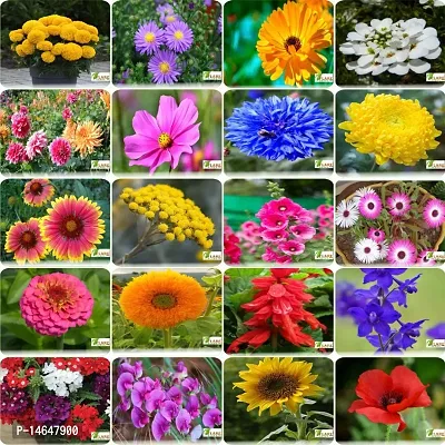 Vrisa Green 20 Variety of Flower Seeds Gardening Pack