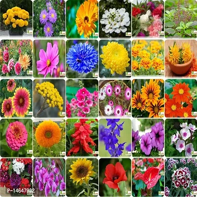 Vrisa Green 30 Variety of Flower Seeds Gardening Pack