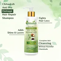 Ayurvedic Herbal Hair Shampoo For Dandruff Control And Hair Fall Control For Unisex Shampoo With Oil  (200Ml With 100Ml)-thumb1