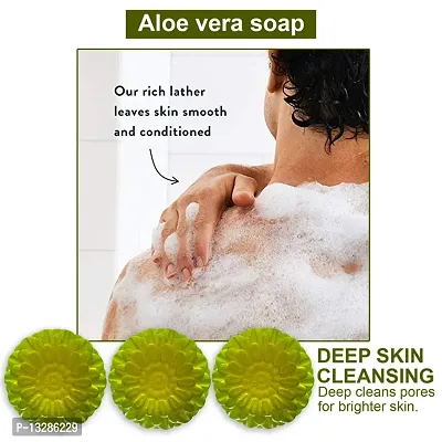 Aloe Vera Moisturizing Soap Bar-100 Grams Each, Pack Of 3