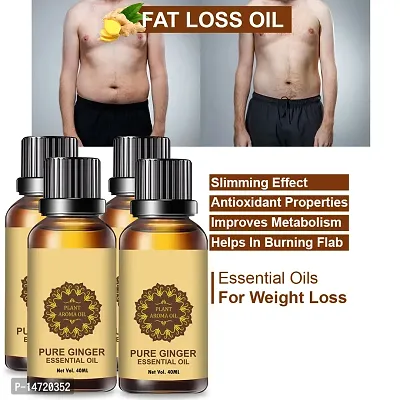 Ginger Essential Oil | Ginger Oil Fat Loss | Organics Herbal Fat Burner Fat loss fat go slimming weight loss body fitness oil Shape Up Slimming Oil For Stomach, Hips  Thigh (40ML) (PACK OF 4)