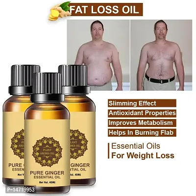 Ginger Essential Oil | Ginger Oil Fat Loss |  Ginger Oil, for Belly Drainage Ginger Massage Oils For Belly / Fat Reduction for Weight Loss, Fat Burner Oil For Men  Women (40ML) (PACK OF 3)