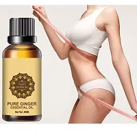 Ginger Essential Oil | Ginger Oil Fat Loss |  Ginger Oil, for Belly Drainage Ginger Massage Oils For Belly / Fat Reduction for Weight Loss, Fat Burner Oil For Men  Women (40ML) (PACK OF 2)-thumb1